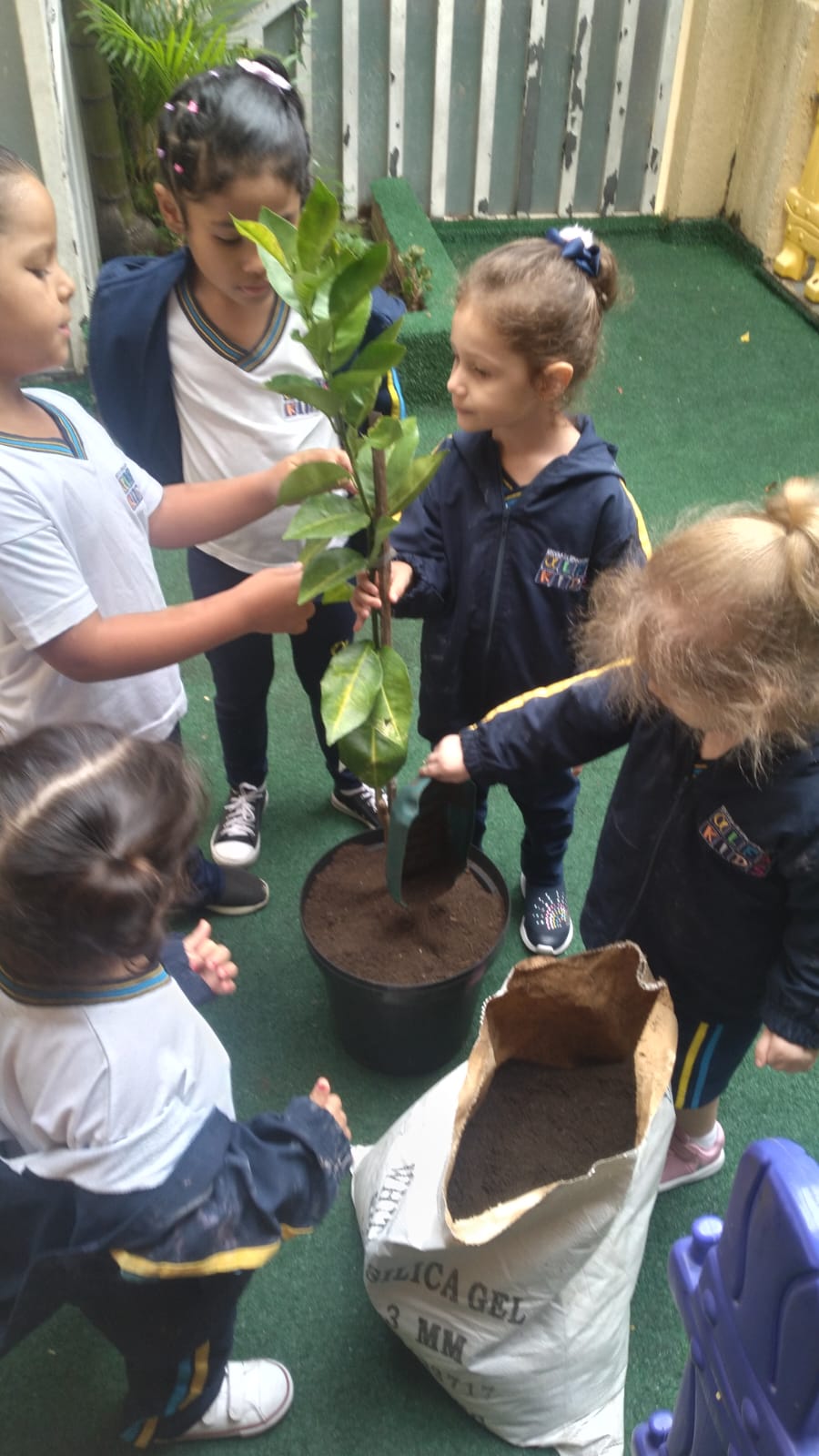 WhatsApp Image 2023-03-28 at 10.54.55.jpeg